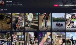 沈阳女骑士爆料新闻报道,揭秘背后惊人真相